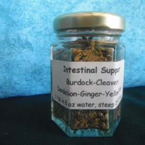 Intestinal Support