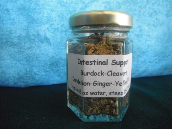 Intestinal Support